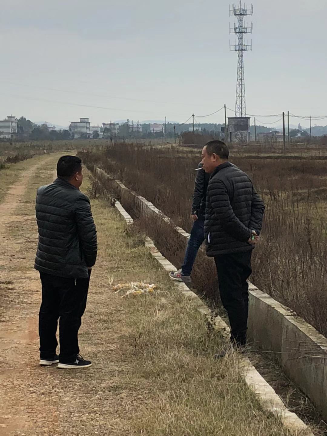 峽江縣仁和鎮官田村旱地改水田整治工程