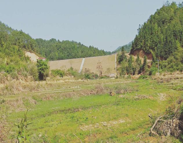 信豐縣大橋鎮賴如坑水庫續建工程
