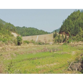 信豐縣大橋鎮賴如坑水庫續建工程